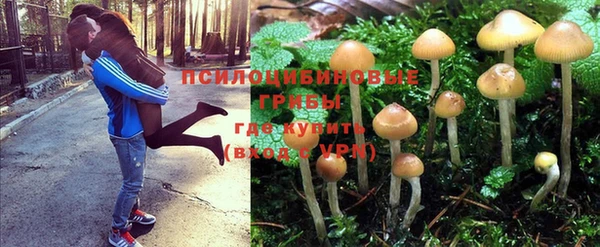 а пвп мука Арсеньев
