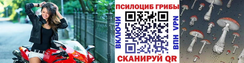 Псилоцибиновые грибы мухоморы  продажа наркотиков  Можга 