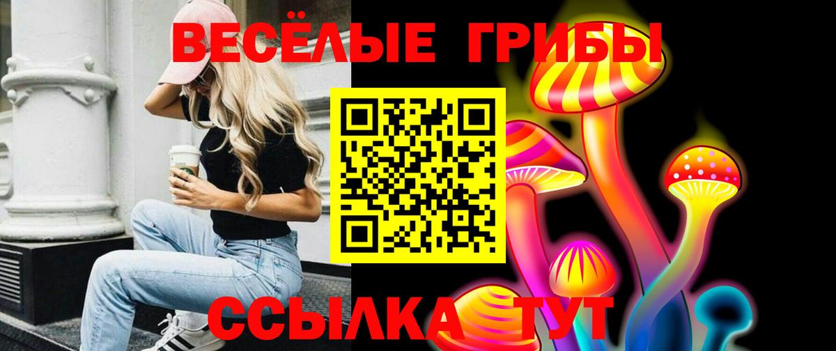 Можга  Псилоцибиновые грибы Cubensis  Вход с VPN 
